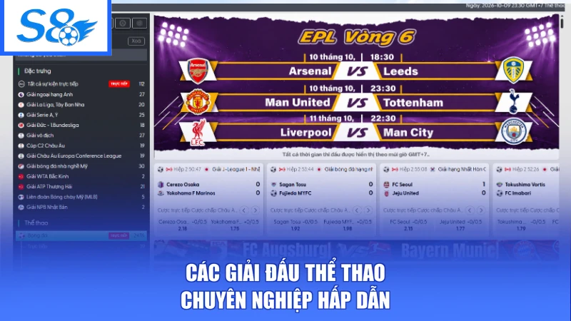 Các giải đấu thể thao chuyên nghiệp hấp dẫn