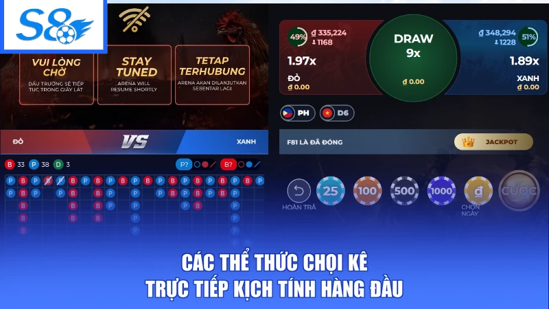Các thể thức chọi kê trực tiếp kịch tính hàng đầu