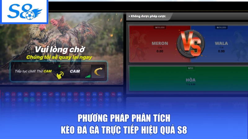 Đá Gà S8 3 Phương pháp phân tích kèo đá gà trực tiếp hiệu quả S8